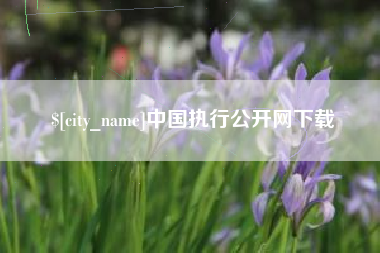 东方中国执行公开网下载