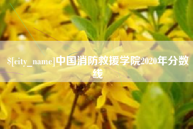 东方中国消防救援学院2020年分数线