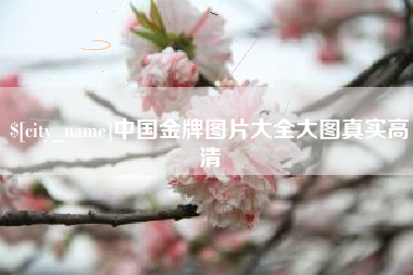 东方中国金牌图片大全大图真实高清