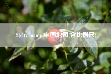 东方中国地图(含比例尺)