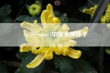 东方中国金牌样子