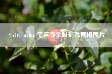 东方奥运夺金时刻九宫格图片
