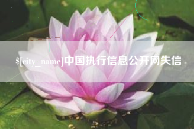 东方中国执行信息公开网失信