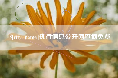 东方执行信息公开网查询免费