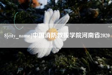东方中国消防救援学院河南省2020